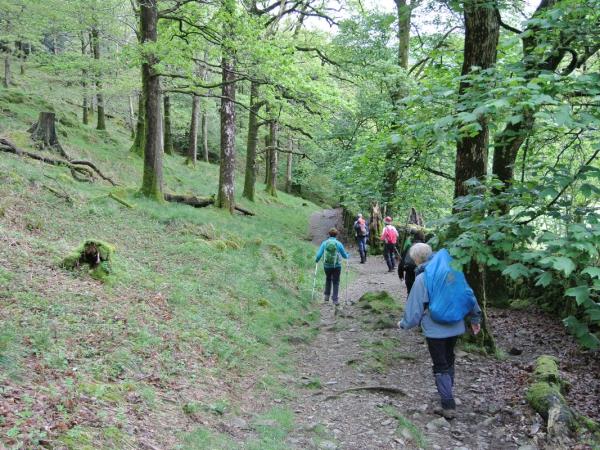 England coast to coast walking holiday, Wainwrights