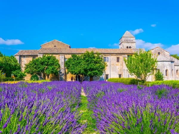Avignon walking holiday in France
