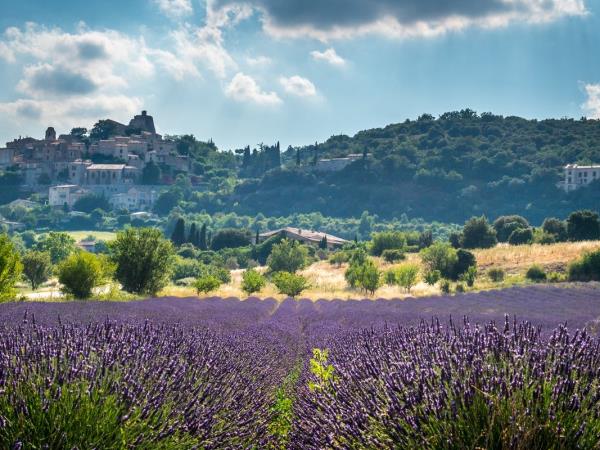 Avignon walking holiday in France
