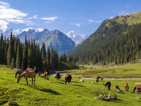 Walking in Kyrgyzstan holiday