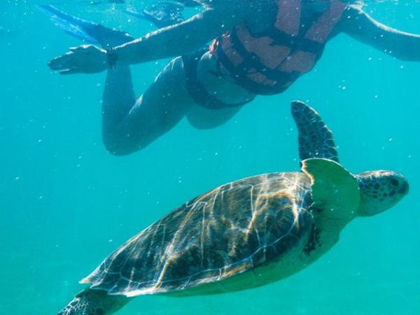Yucatan heritage tour in Mexico