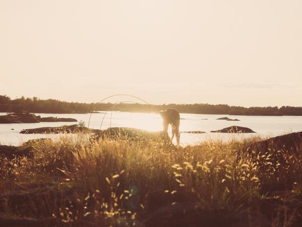 Photography and kayaking holiday in Sweden