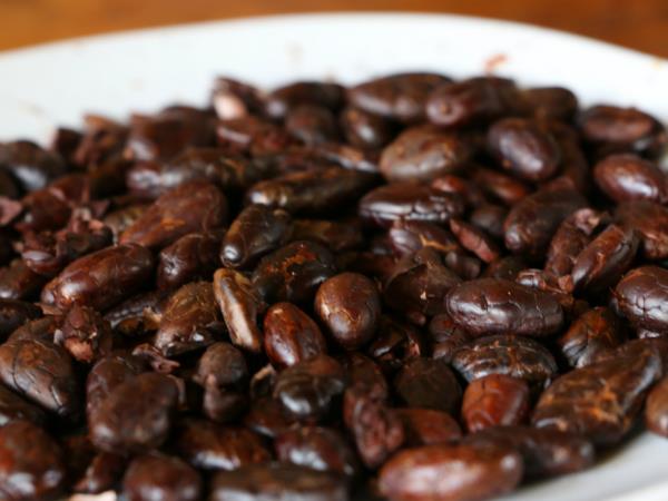Coffee, Chocolate, & Machu Picchu tour in Peru