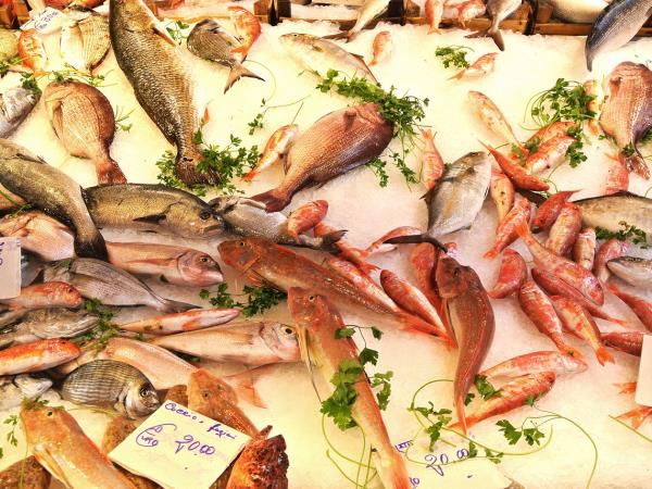Sicily food and wine holiday