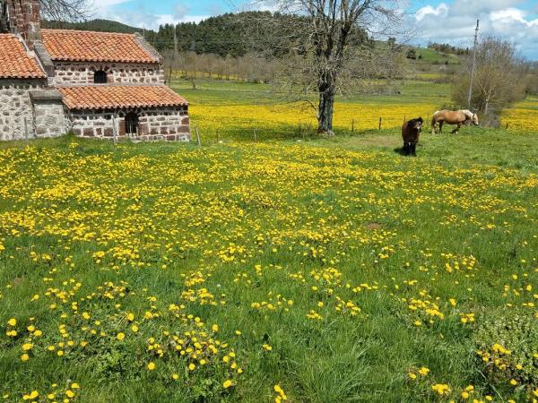 Route St Jacques walking holiday