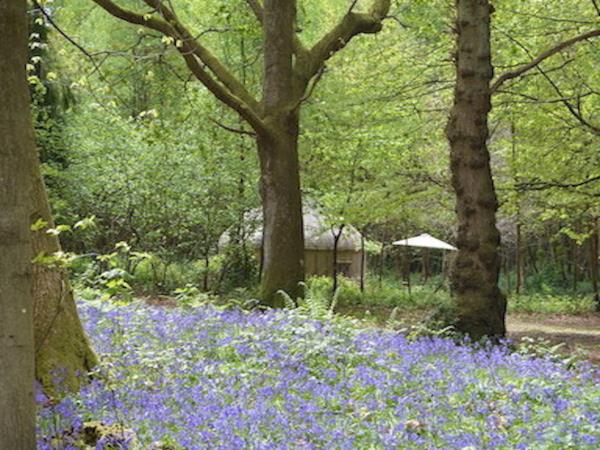 South Downs yurts in Hampshire, England
