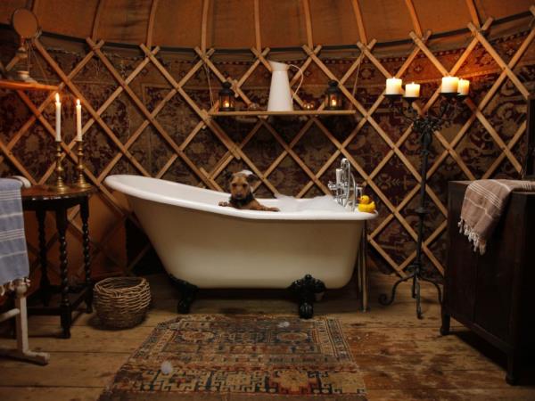 South Downs yurts in Hampshire, England