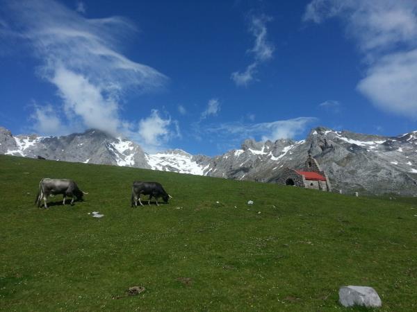 Walking in the Picos de Europa holiday