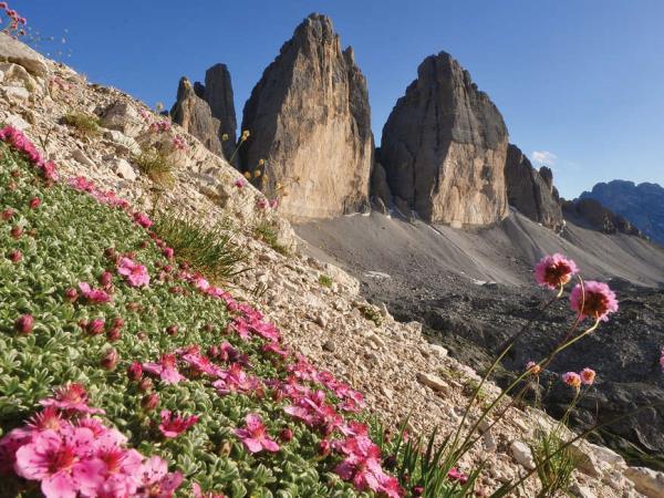 Dolomites walking holiday, Italy