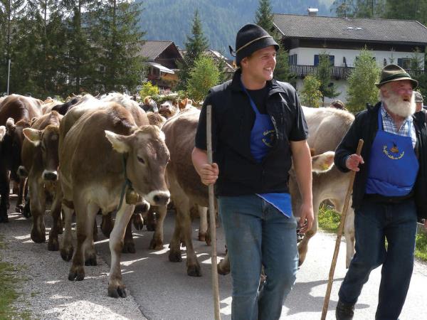 Dolomites walking holiday, Italy