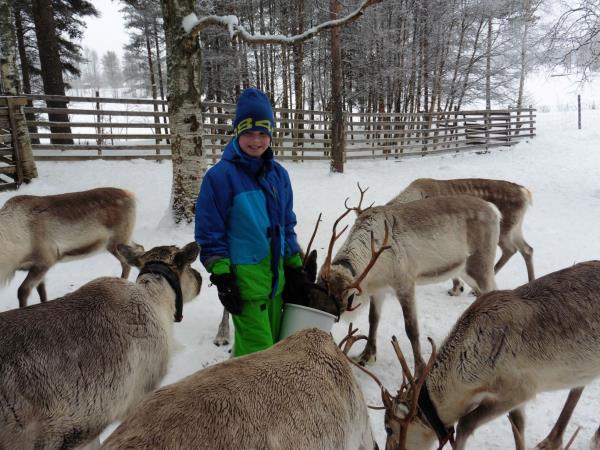Family winter activity holiday, Finland