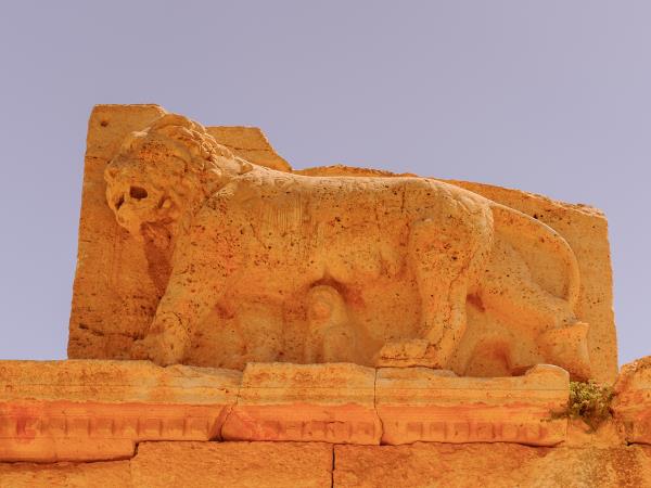Castles of Jordan tour
