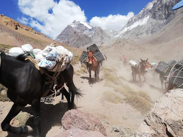Aconcagua trekking expedition in Argentina