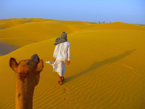 North India tours, 14 days