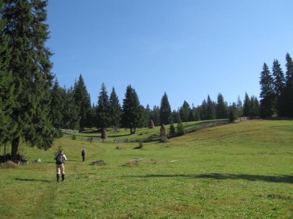 Guided walking holiday in Romania