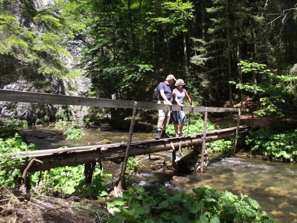 Guided walking holiday in Romania