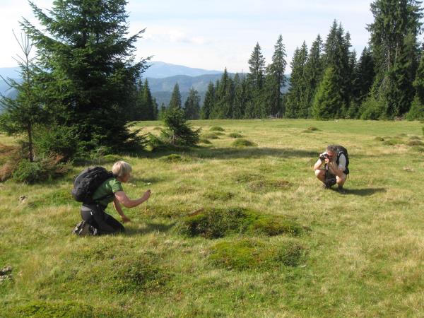 Guided walking holiday in Romania