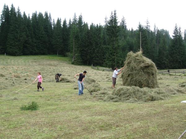 Guided walking holiday in Romania