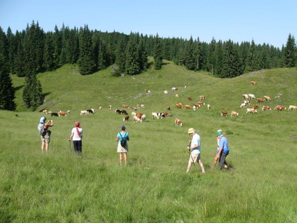 Romania small group holiday
