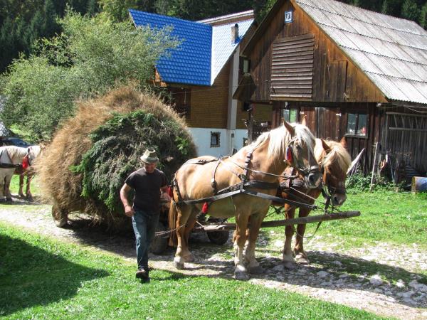 Romania small group holiday