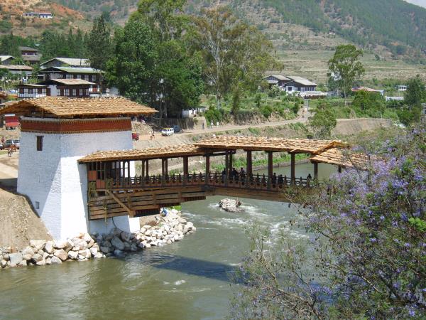Bhutan short tour from Nepal