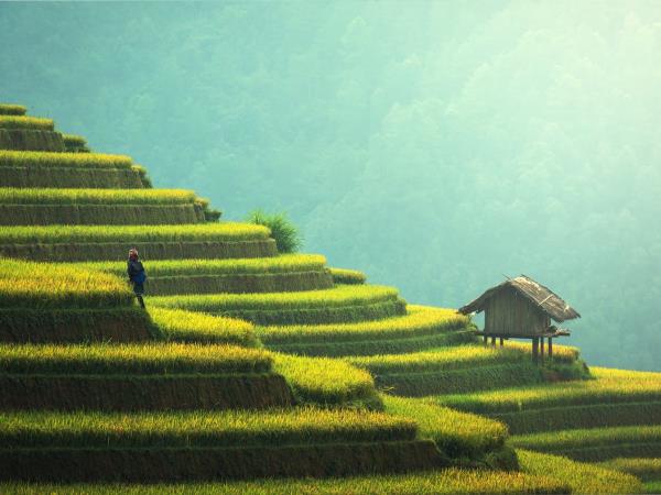 Indonesia tour, 16 days