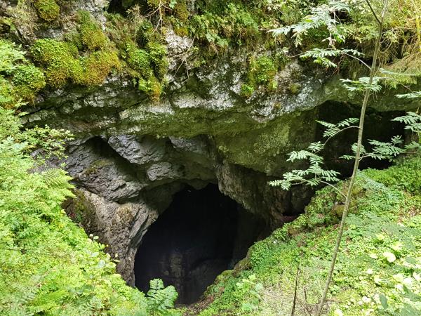 Romania hiking holidays in Apuseni National Park