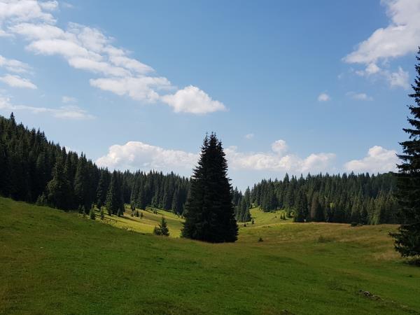 Romania hiking holidays in Apuseni National Park