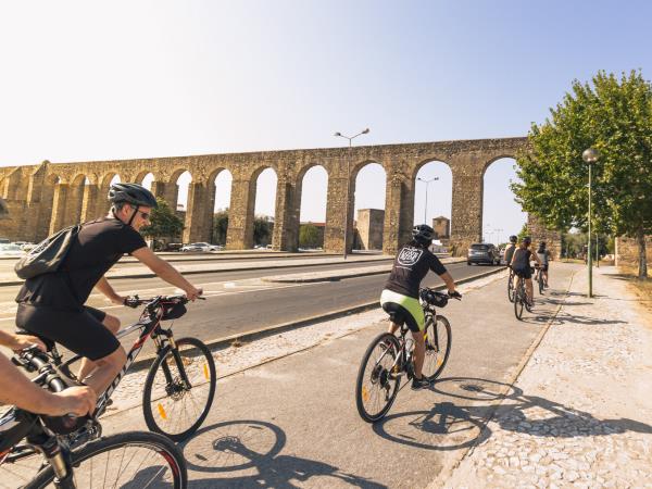 Portugal cycling holiday in Alentejo, wine region