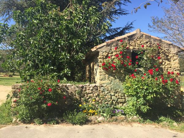 Provence lavender tour