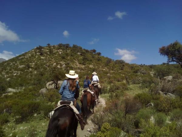Horse riding trek in Argentina