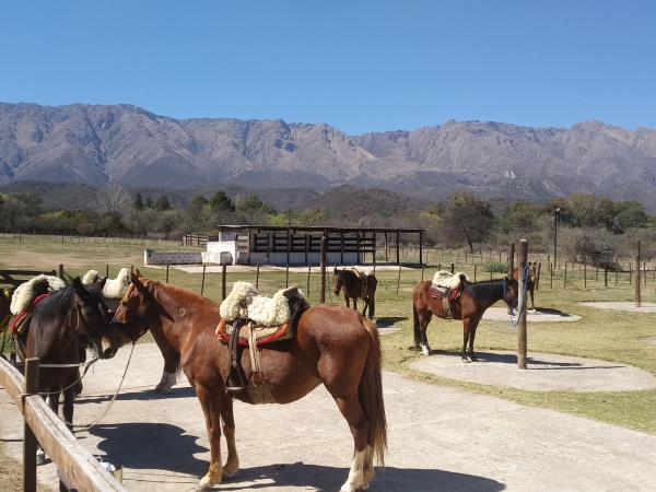 Horse riding trek in Argentina