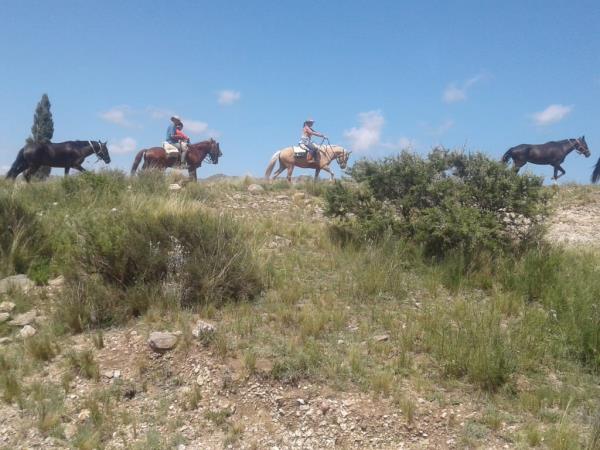 Horse riding trek in Argentina