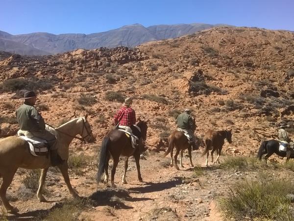 Argentina horseriding holiday in Province of Salta and Jujuy