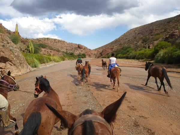 Argentina horse riding holiday, Lerma Valley to Calchaqui Valley