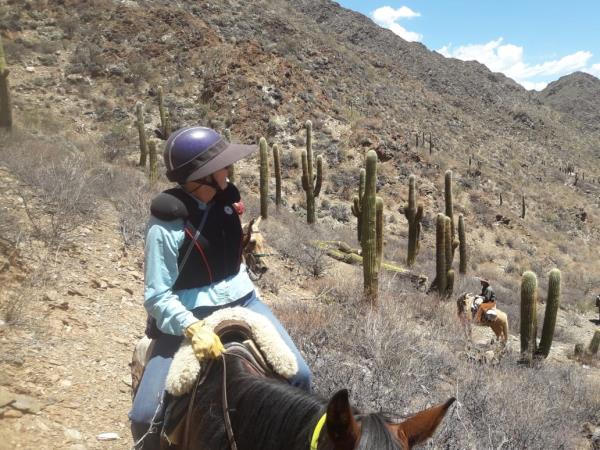 Argentina horse riding holiday, Lerma Valley to Calchaqui Valley