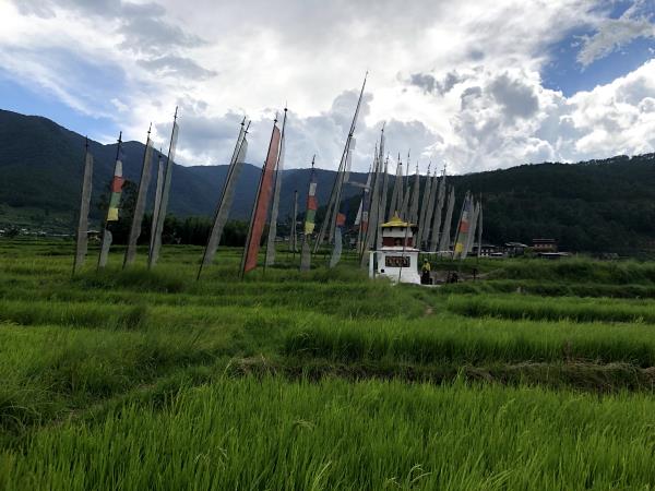 Nepal, Bhutan and Tibet holiday