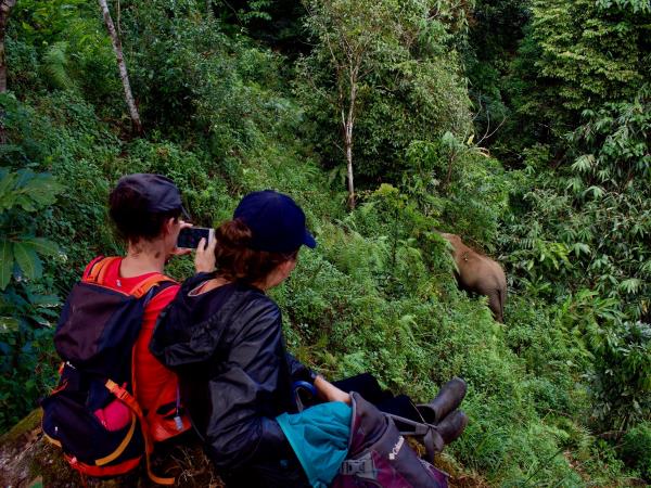 4 day Thai cultural stay and elephant watching