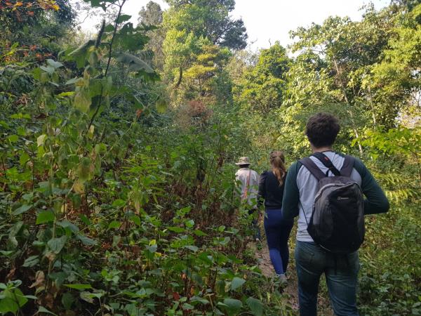 Elephant conservation volunteering in Thailand