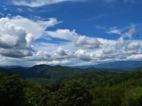 Elephant conservation volunteering in Thailand