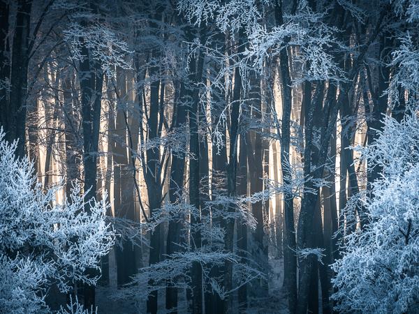Romania photography holiday with James Rushforth