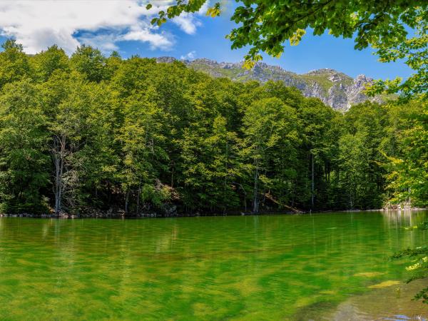 Northern Greece bear conservation tour