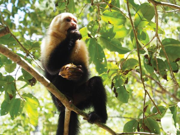 Best of Costa Rica tour