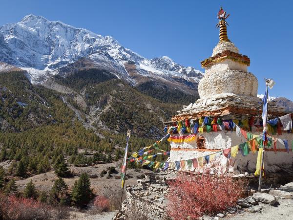 Annapurna Base Camp, 14 days trekking holiday