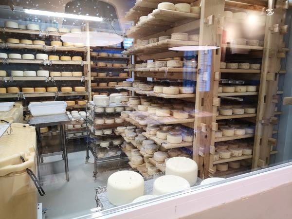 Cooking and cultural holiday in the Spanish Pyrenees