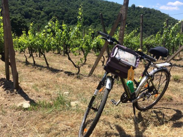 Prague to Vienna cycling holiday