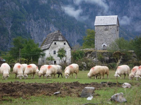 Balkans walking holiday