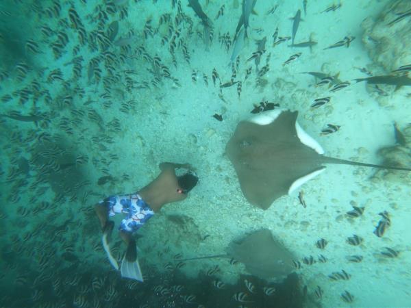 Maldives Catamaran Cruise