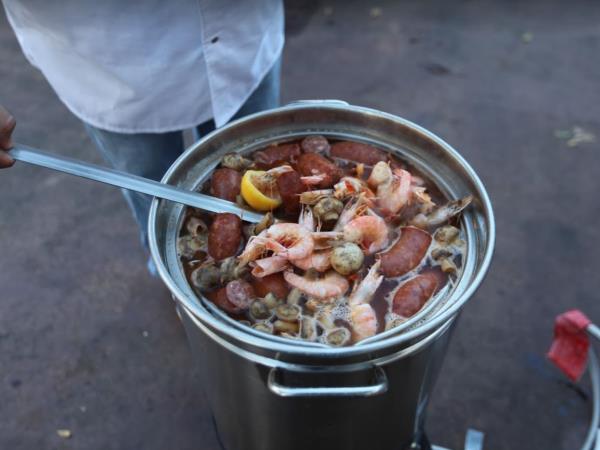 Cajun country tour in Louisiana