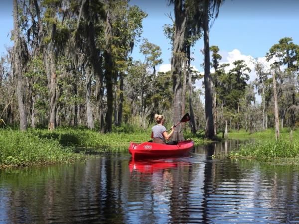 Cajun country tour in Louisiana